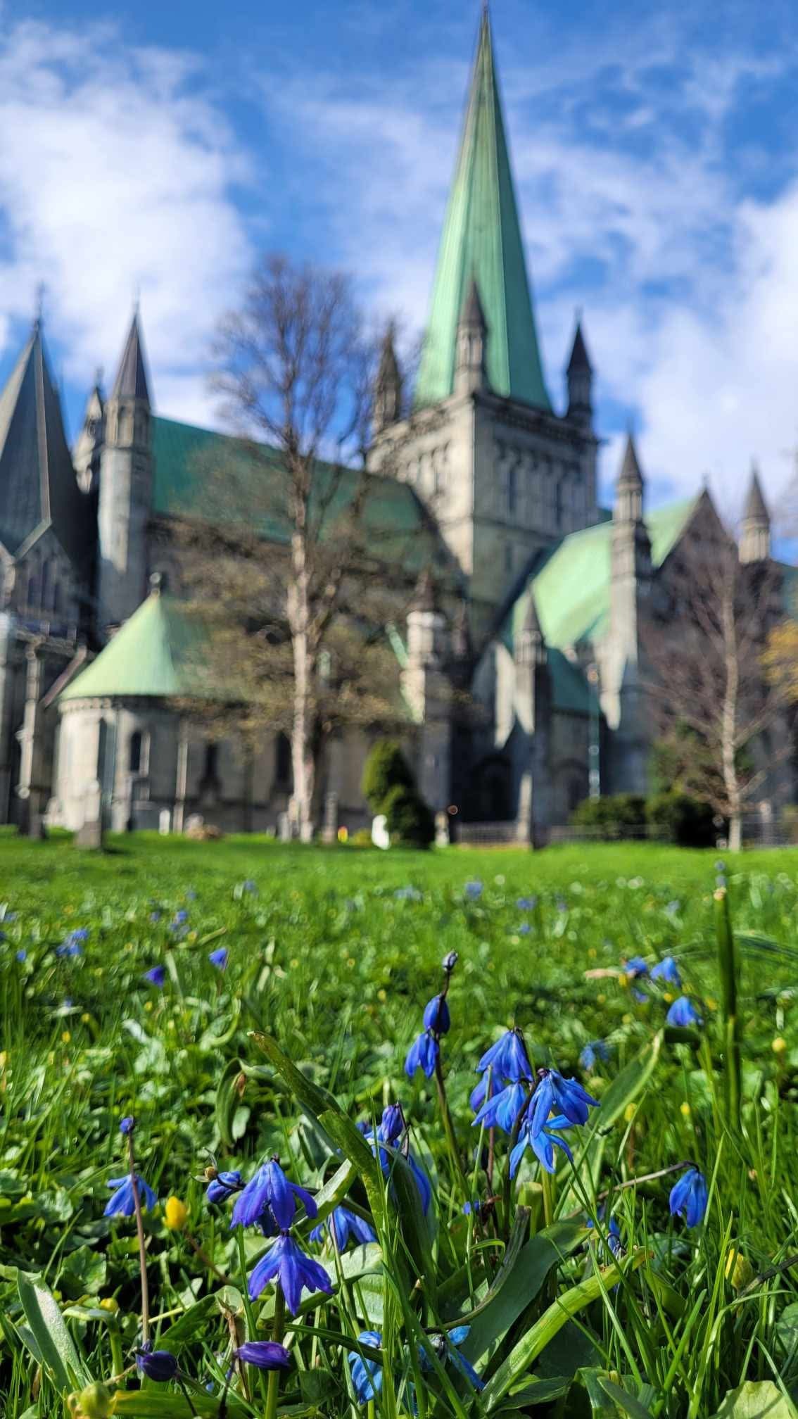 Nidarosdomen var 2025