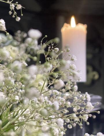 Alter blomst Alter blomst