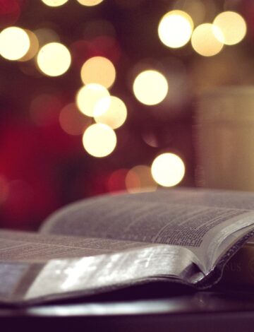 11. desember: Ny himmel og ny jord 11. desember: Ny himmel og ny jord