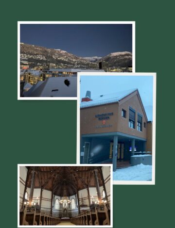 Jonas Salomonsen Bergen montasje2b Jonas Salomonsen Bergen montasje2b