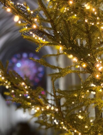 Jul 2023 rosevinduet Jul 2023 rosevinduet