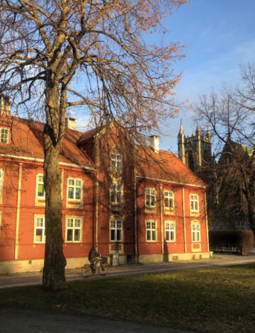 Waisenhuset Karina Lein Waisenhuset Karina Lein