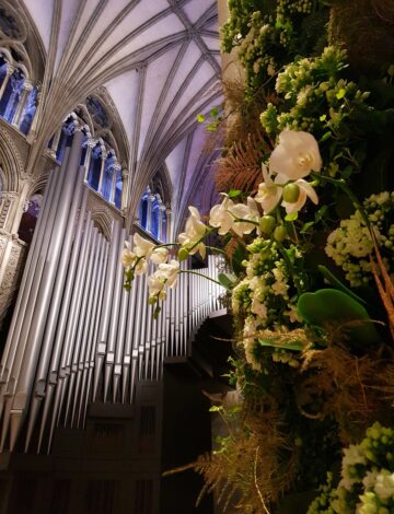 Forsidefoto siv smedseng Forsidefoto siv smedseng