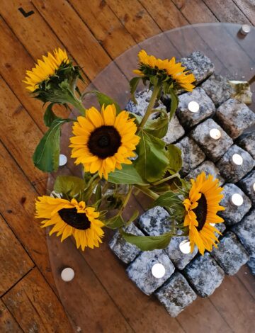 Solsikker var frue Solsikker var frue