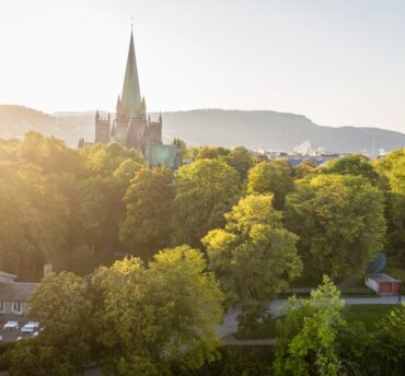 Sommerens orgelserie 2025 Sommerens orgelserie 2025