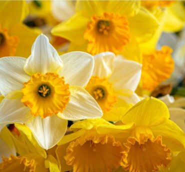 Påsken 2026 i Nidarosdomen