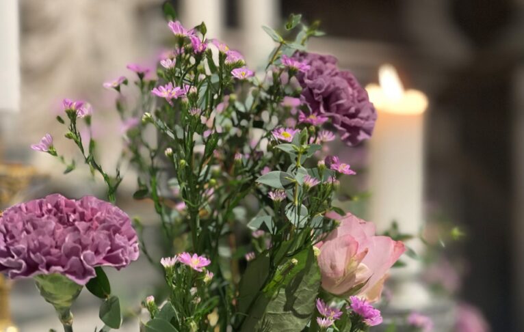 Hoyalter februar 2024