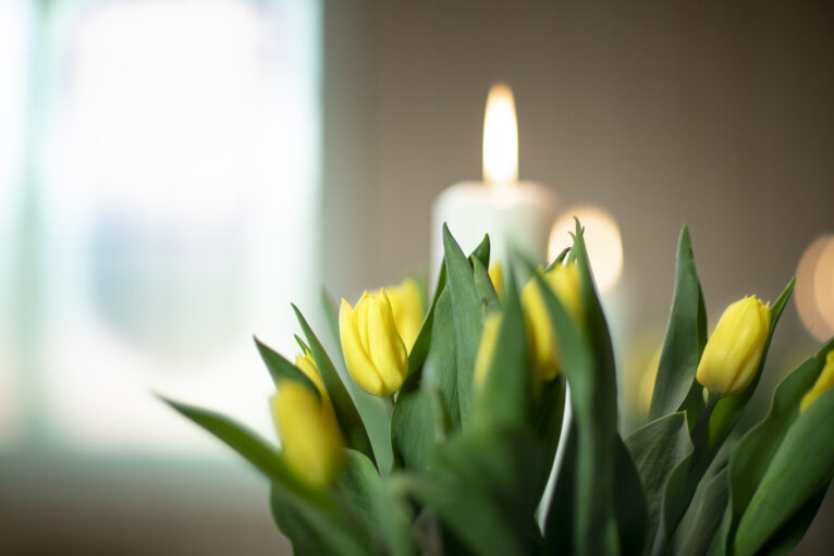 Paskeblomster foto Bo Mathisen