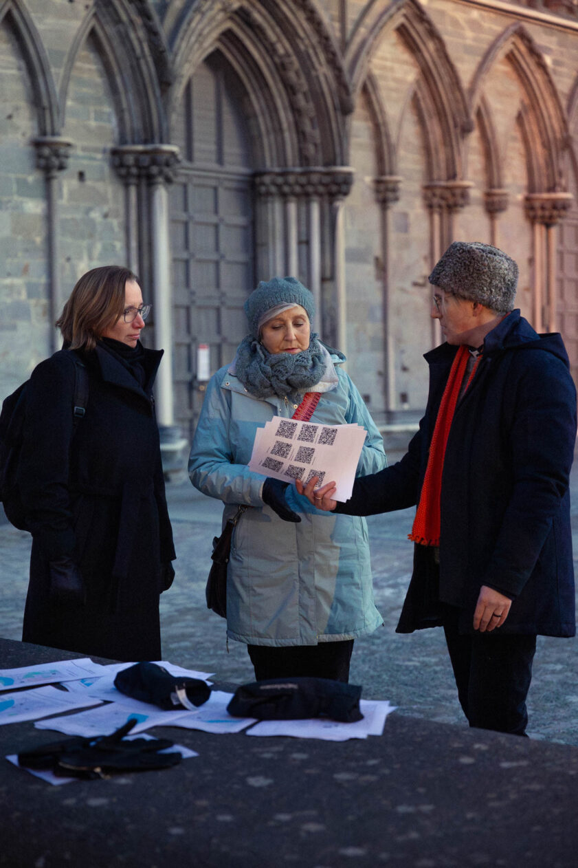 Snublesteinaksjon 2025